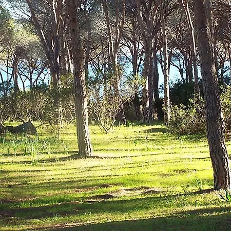 Villetta A Spiaggia 550m Affitti Ferienhaus