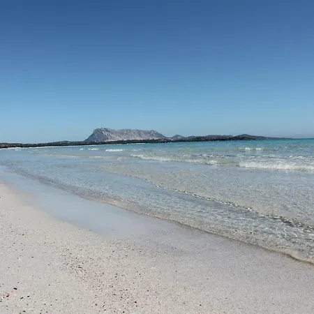 Villetta A Spiaggia 550m Affitti *